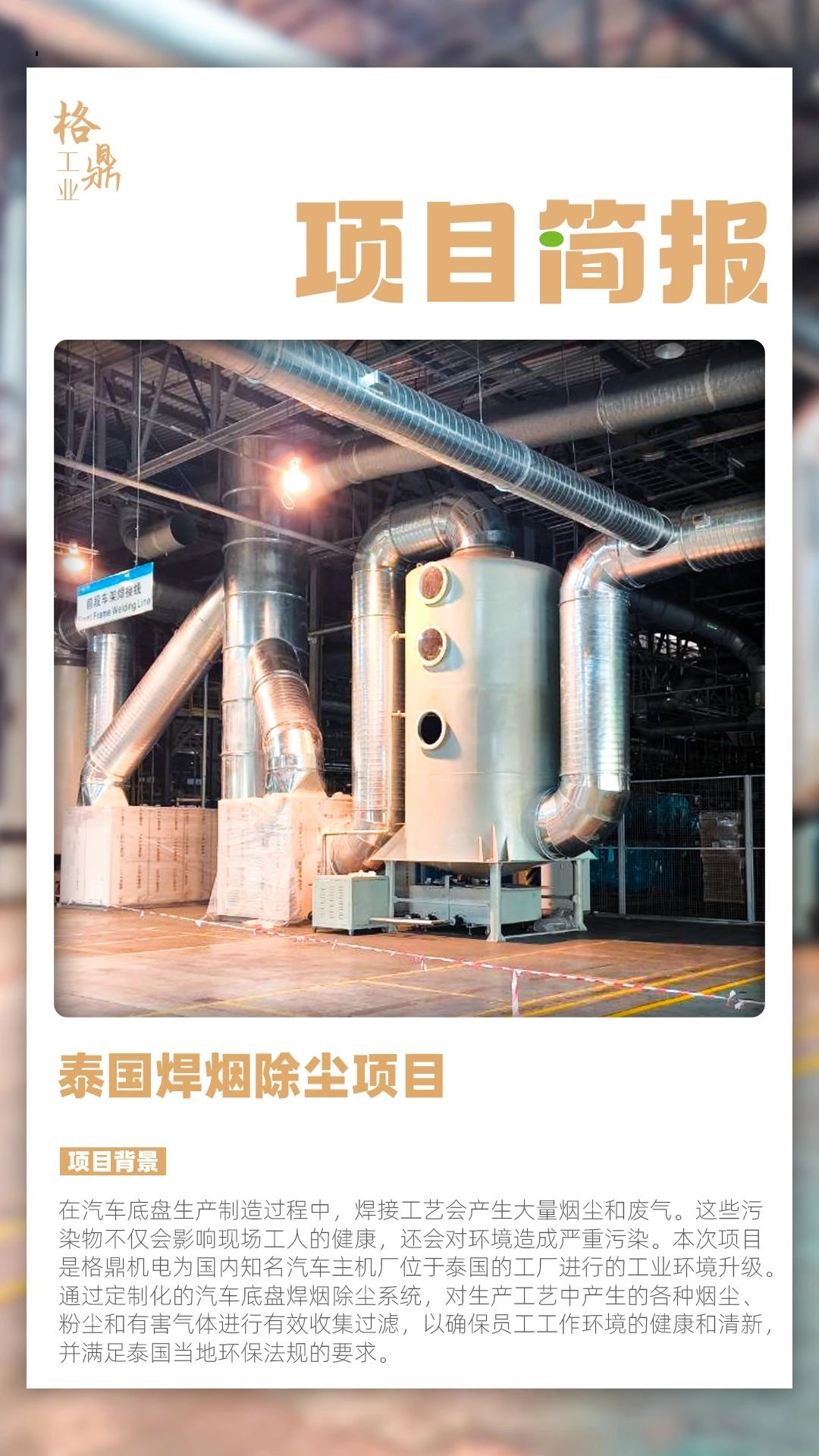 172644312.jpg 11.jpg